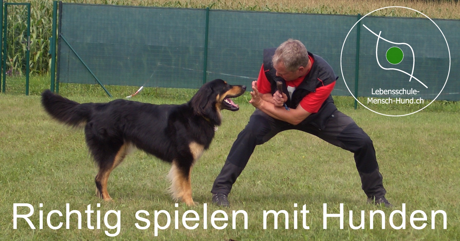 Lustige Spiele Für Hund Und Mensch lebensschule-mensch-hund.lerny.ch
